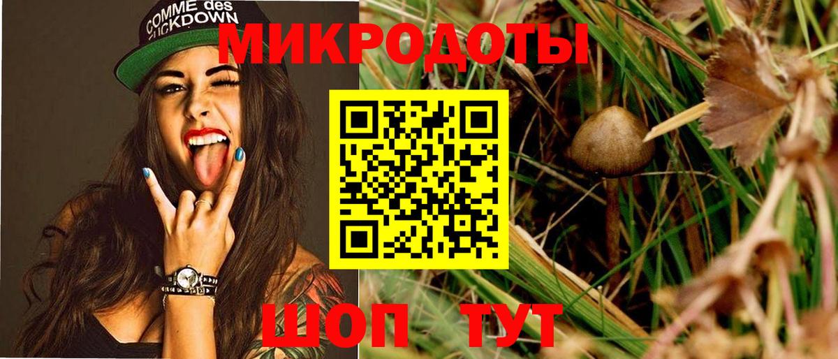 Реутов  купить закладку  Вход с VPN  Галлюциногенные грибы Cubensis 